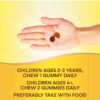 2ce901a7-26c1-46d3-81b6-732e668287f1 Nature's Way: Alive! Kids, Gummy Multivitamin, Cherry, Orange & Grape, 60 Gummies