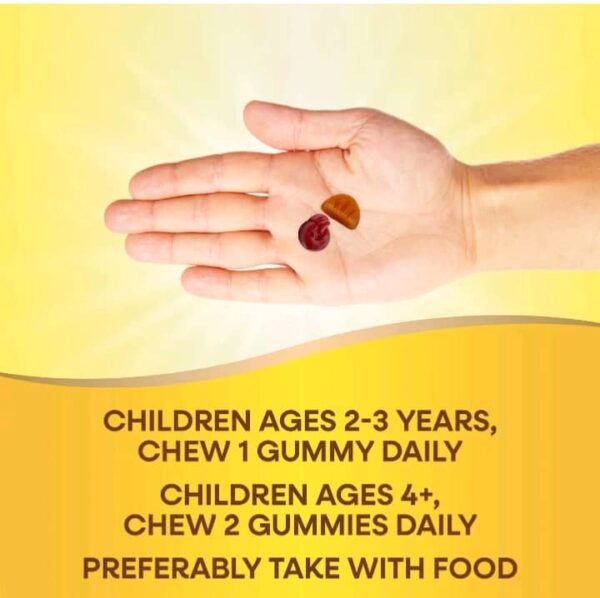 2ce901a7-26c1-46d3-81b6-732e668287f1 Nature's Way: Alive! Kids, Gummy Multivitamin, Cherry, Orange & Grape, 60 Gummies